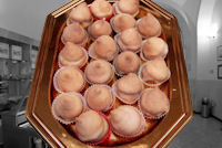 I sospire della pasticceria trieste